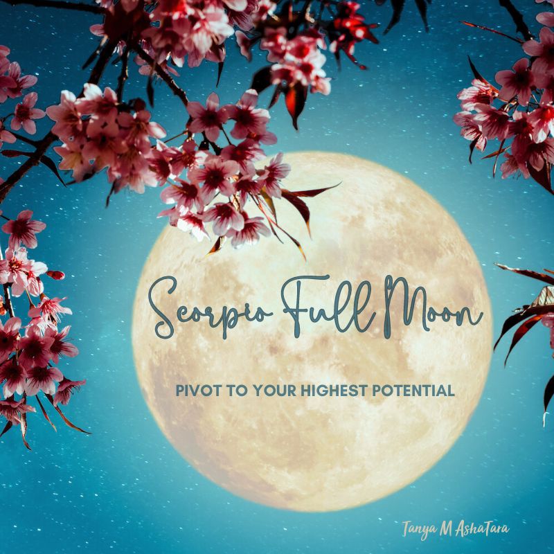 Scorpio Full Moon Grace Violet