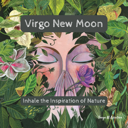 Virgo New Moon