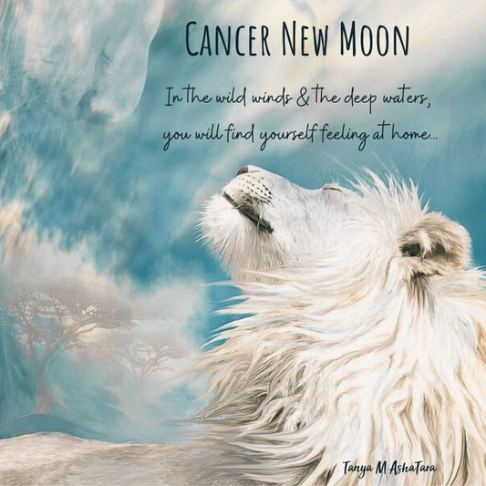 Cancer New Moon
