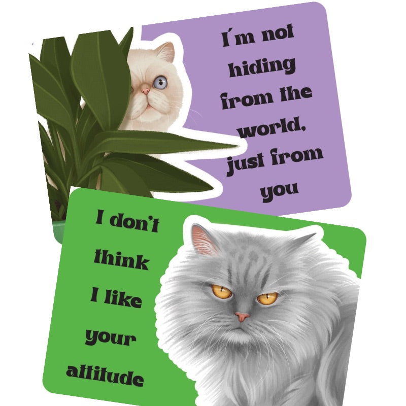 Cattitude - Attitude of the Day