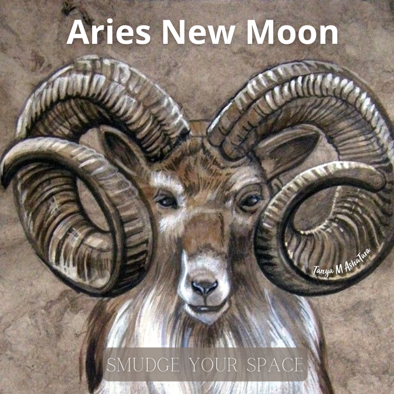 Aries New Moon