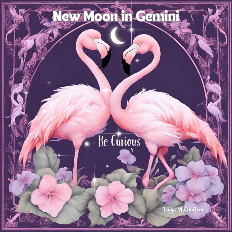 New Moon in Gemini