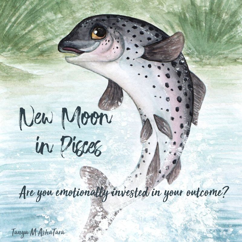 New Moon in Pisces