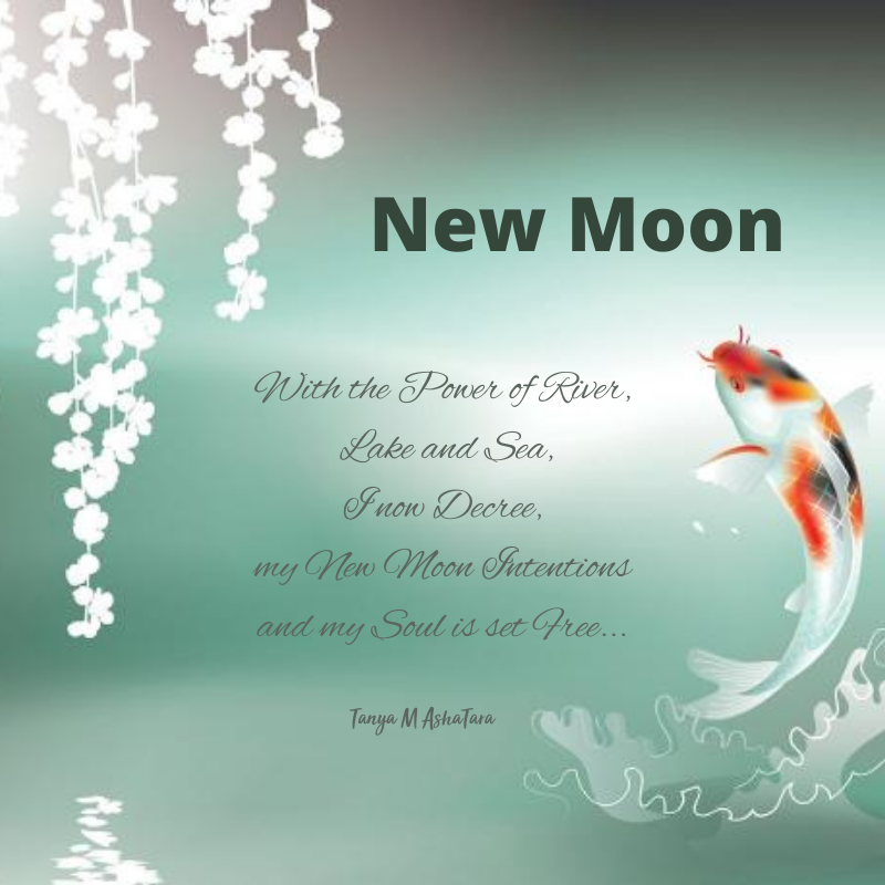 Pisces New Moon