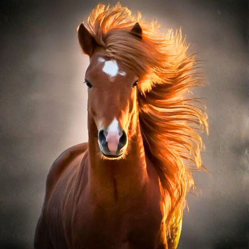 Hello Year of the Fire Horse