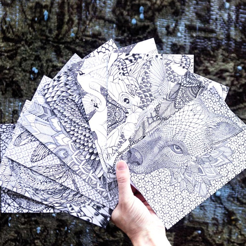 Shovava Adult Colouring Book