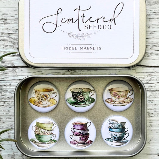 Vintage Teacups - Set of 6 Magnets in Tin
