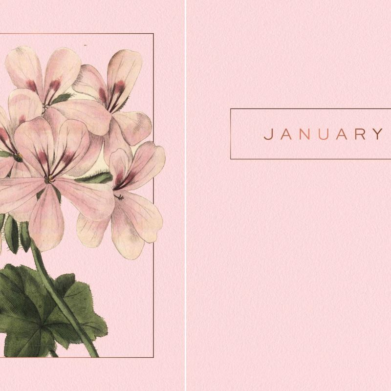 A Year of Flowers ~ A Perpetual Journal of Daily Wisdom