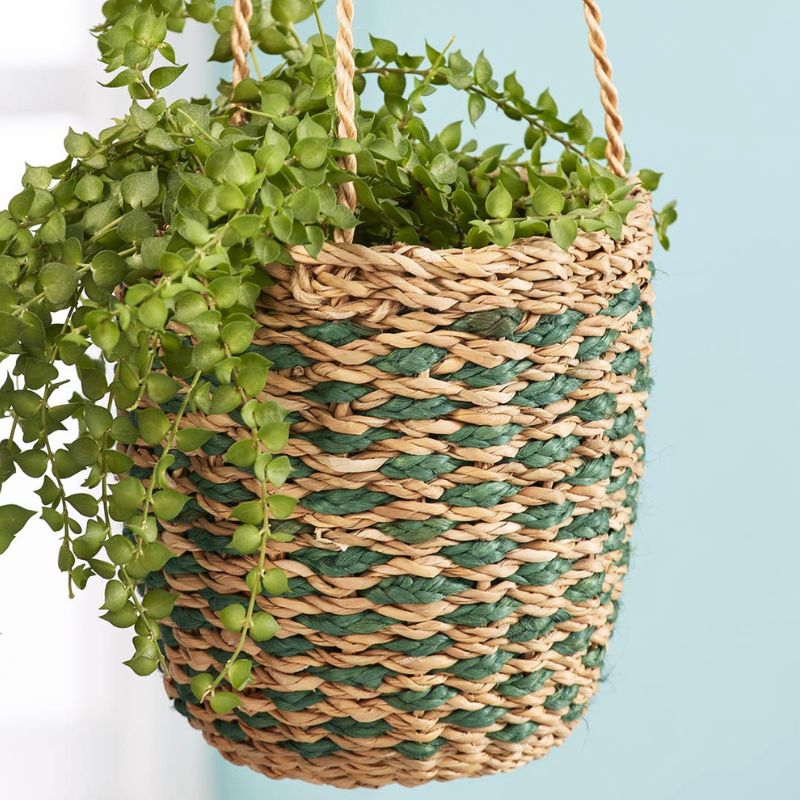 Hogla Grass Hanging Planter
