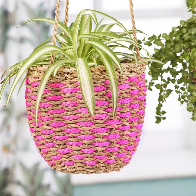 Hogla Grass Hanging Planter